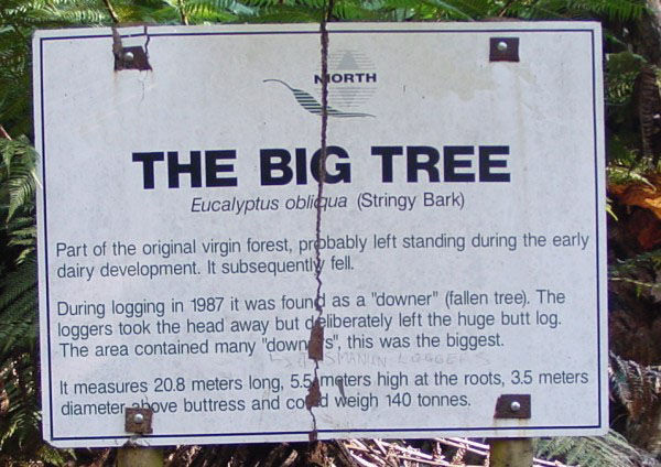 Big-Tree-sign