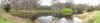 cp_f_f.jpg (57188 bytes)